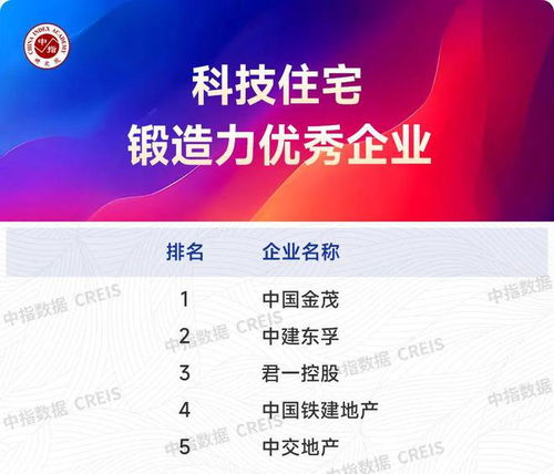 2025上半年主要省市房地產市場地位領先企業信息技術咨詢服務分析